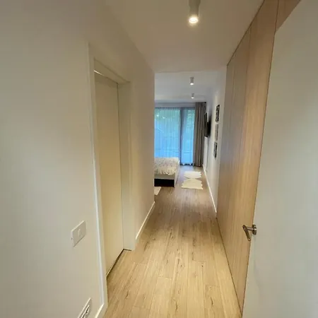 Sabina Apartment Brasov