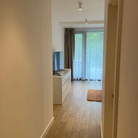 Sabina Apartment Brasov